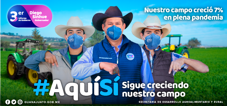 3er Informe de Gobierno